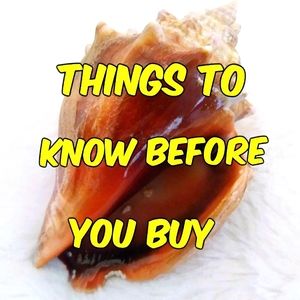 Things to know